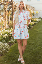 Sky Blue Stripe Floral Pattern Ruffle Short Sleeve Belted Mini Dress