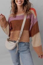 Multicolour Cropped Colorblock Drop Shoulder Knitted Sweater