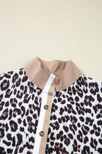 Multicolour Button Striped Collar Leopard Print Long Sleeve Flared Dress