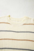 Multicolour Striped Ribbed Edge Drop Shoulder Sweater